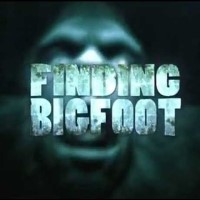 finding bigfoot game from steam