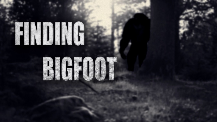 Step-by-Step Guide How to Play Finding Bigfoot - Finding Bigfoot Game Blog